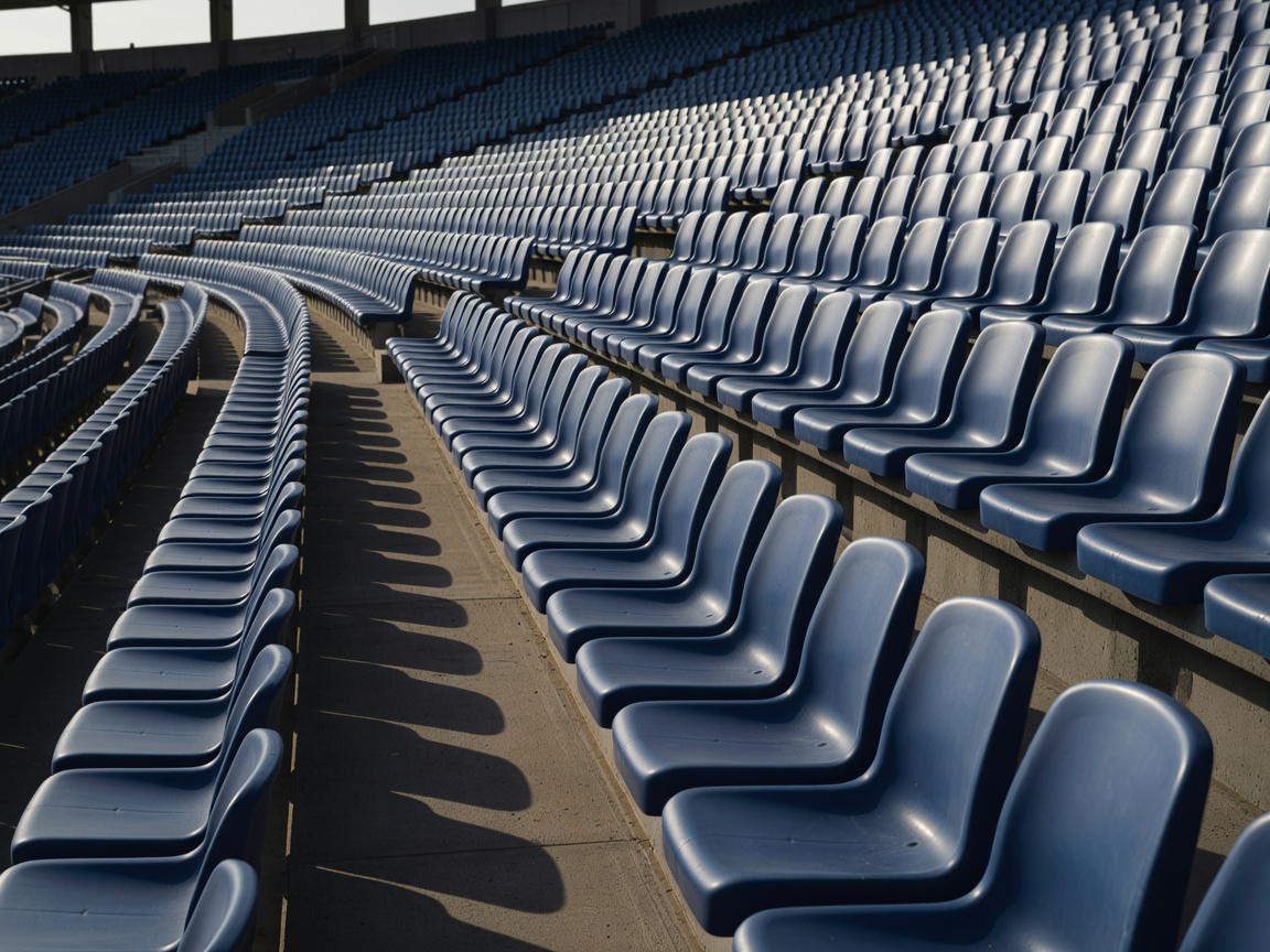Empty stadium seating rows and an adjacent stepped access aisle